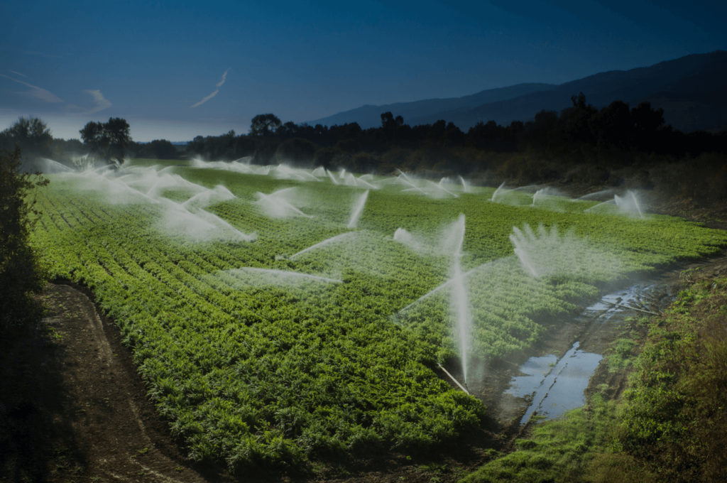 agriculture market trends