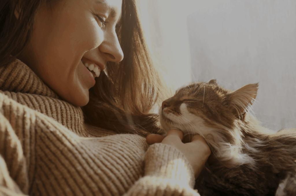 cat owners trends