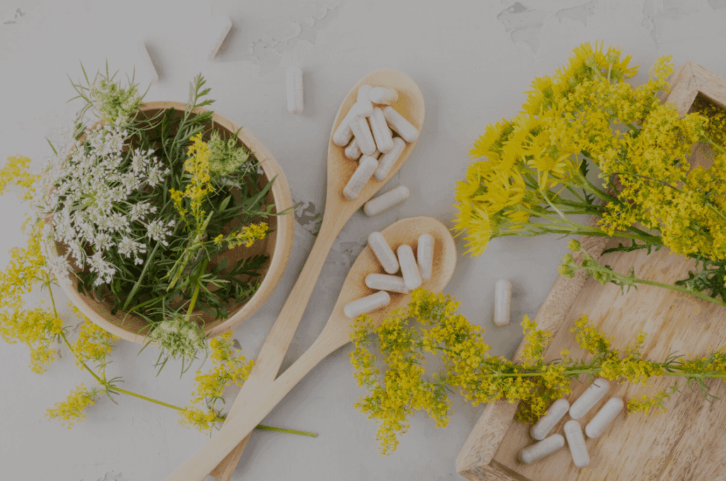 Vegan Supplement global
