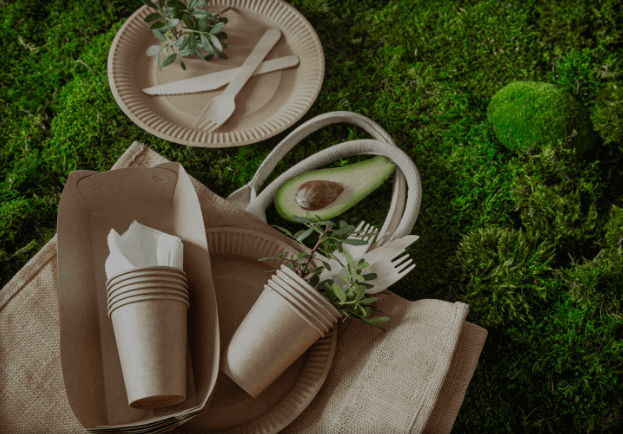 Eco-Friendly Packaging Trends global