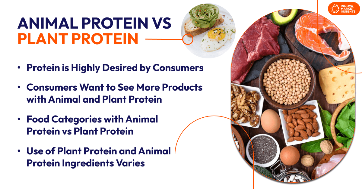 Animal Protein vs Plant Protein 