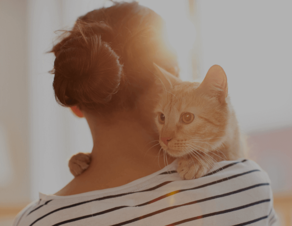 Pet owners in the US