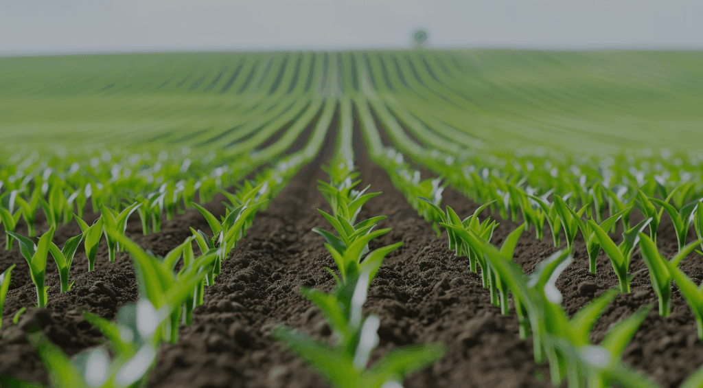 Sustainable Nutrition Trends global